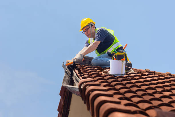 Best Roof Maintenance and Cleaning  in Graceville, FL